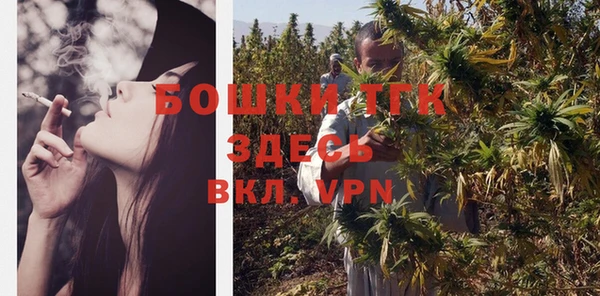 твердый Ладушкин
