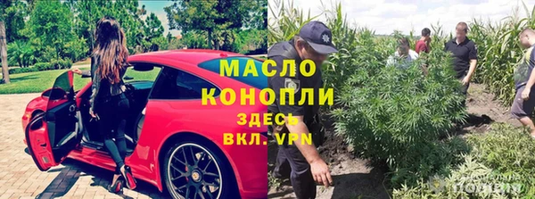 соль ск Кулебаки