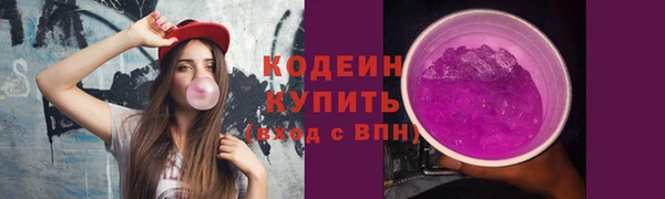 соль ск Кулебаки