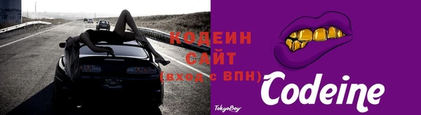 соль ск Кулебаки