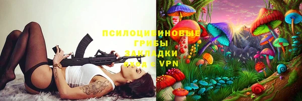 сатива Лагань